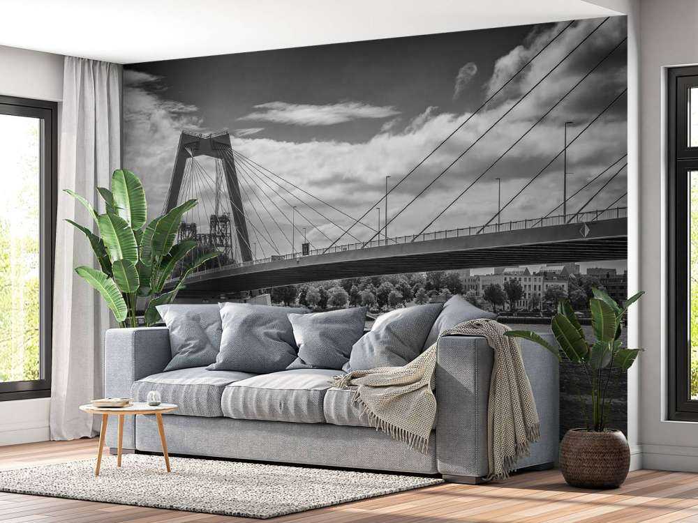 Le passage du pont Prince Willem Alexander à Rotterdam en noir et blanc  