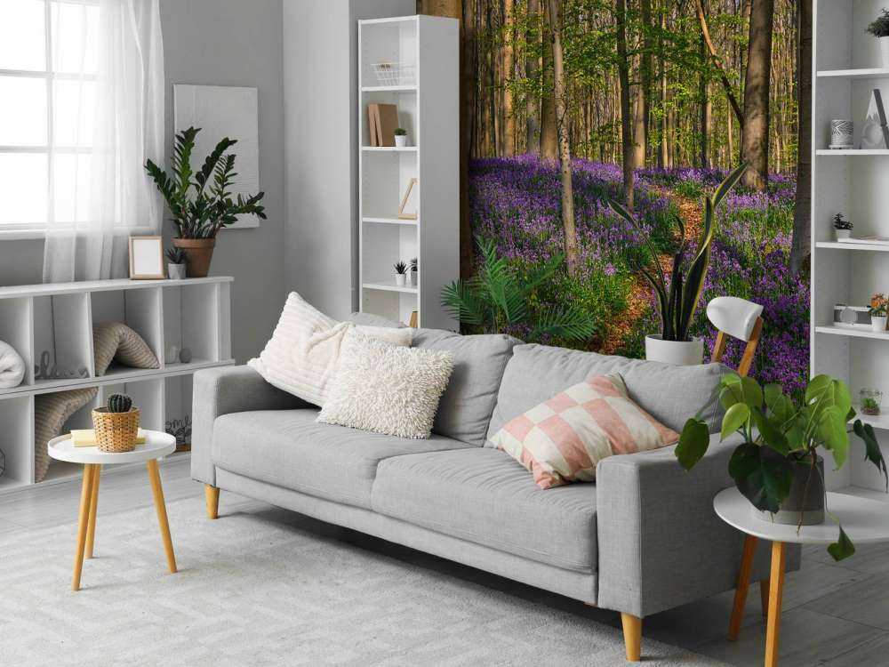 Chemin à travers une forêt avec des jacinthes