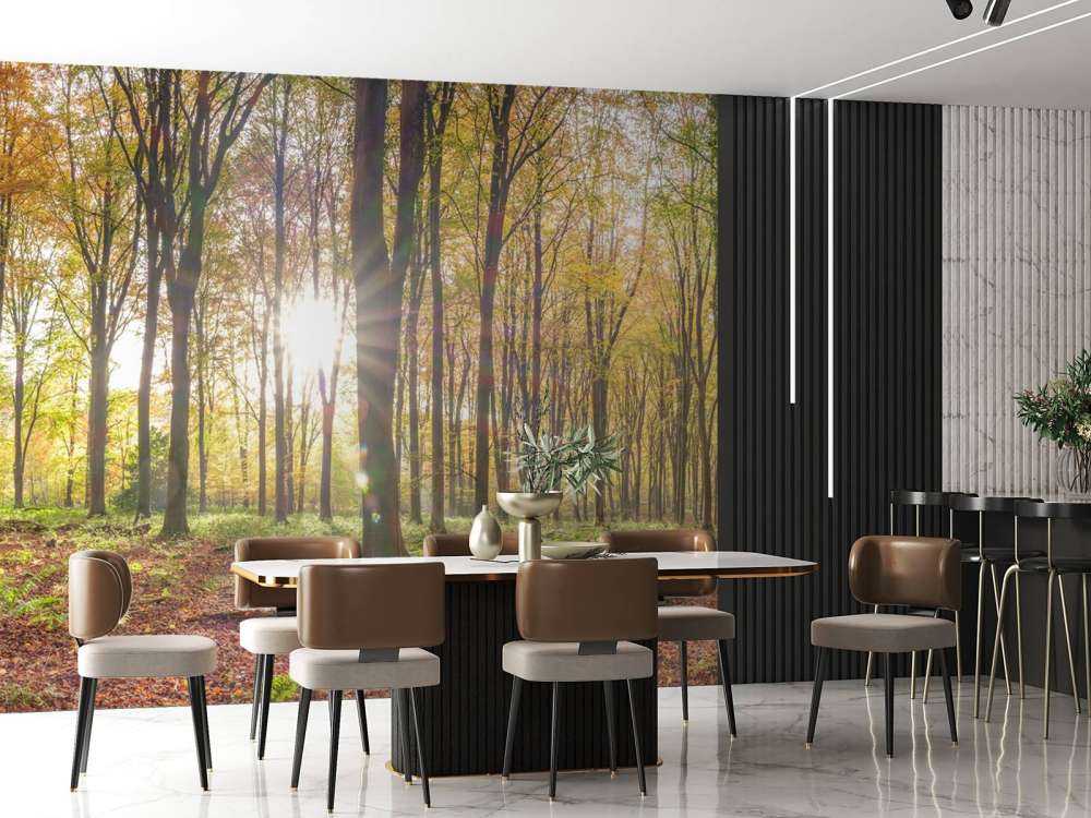 Lumière du soleil à travers la forêt d'automne