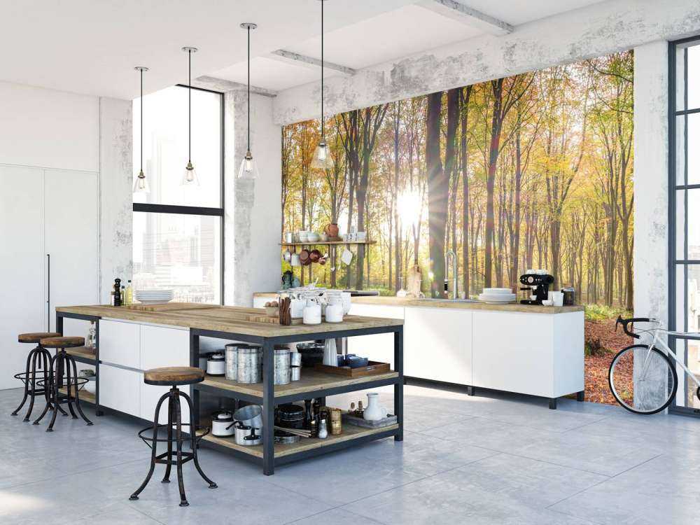 Lumière du soleil à travers la forêt d'automne