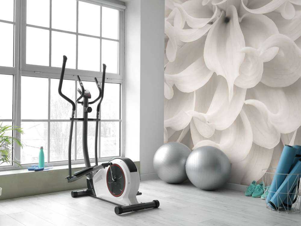 Gros plan sur une fleur de dahlia