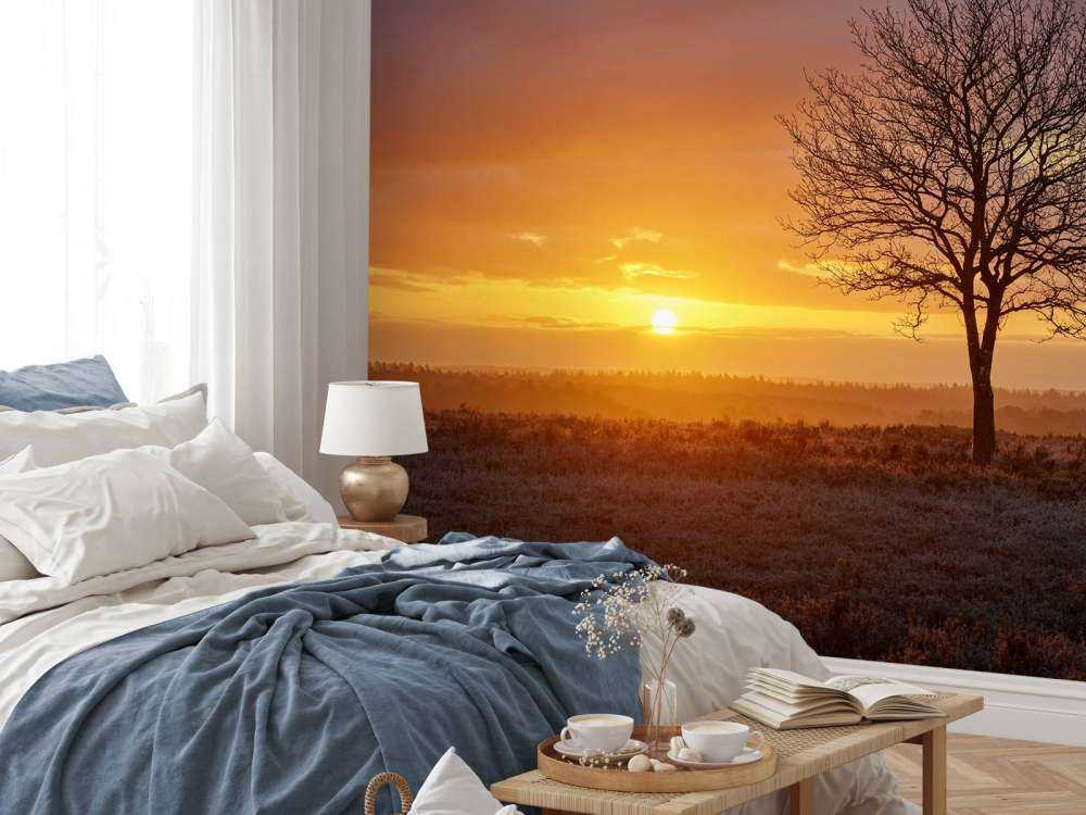 Lever de soleil coloré sur la lande