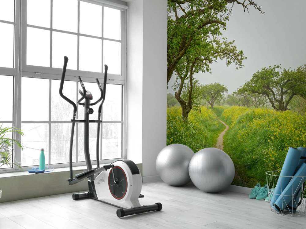 Promenade au millieu de fleurs jaunes