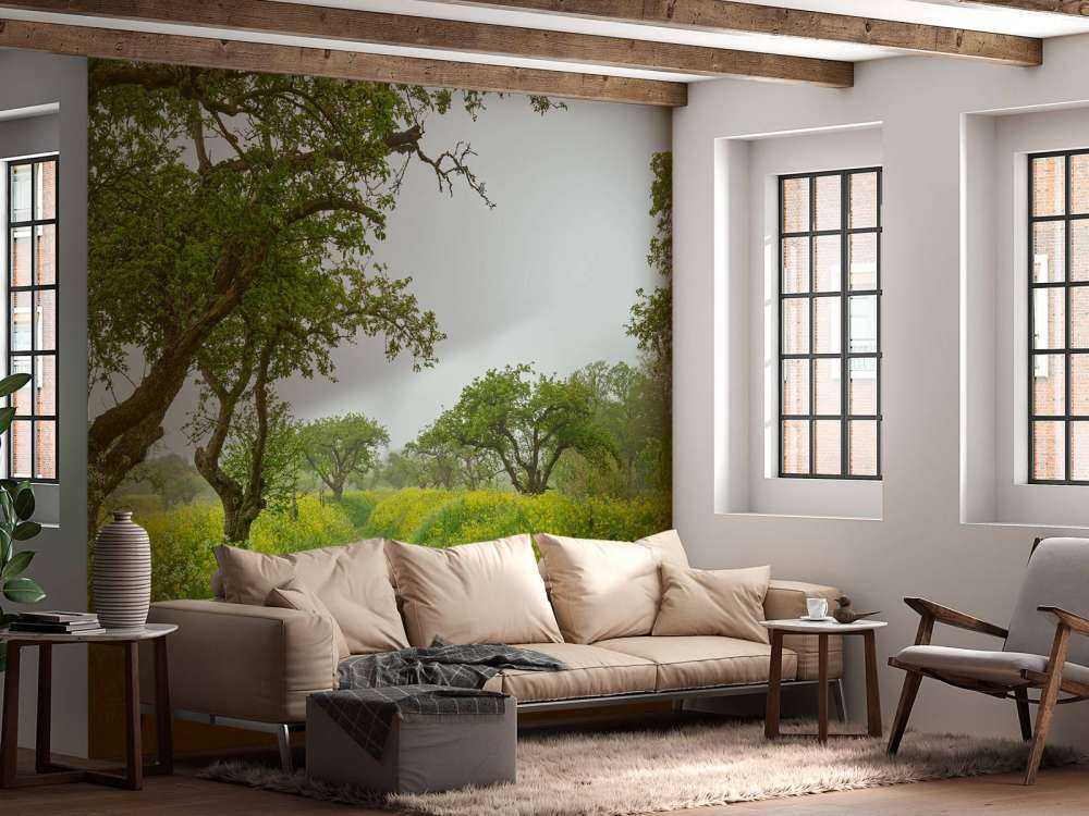 Promenade au millieu de fleurs jaunes