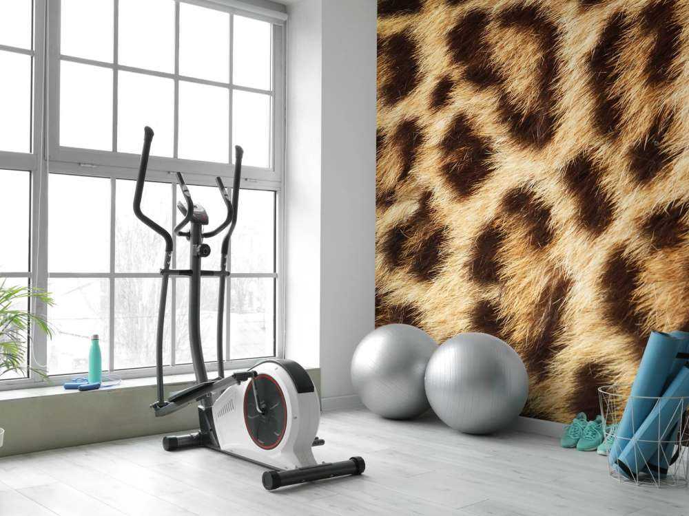 Manteau de panthère