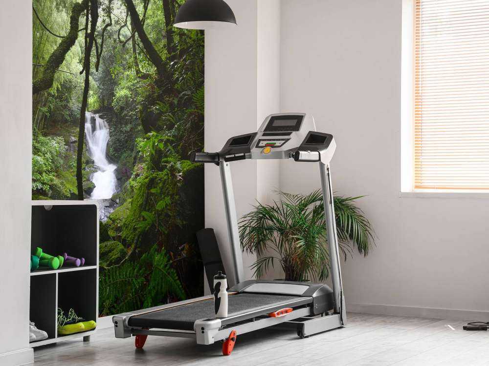 Chute d'eau entourée d'arbres