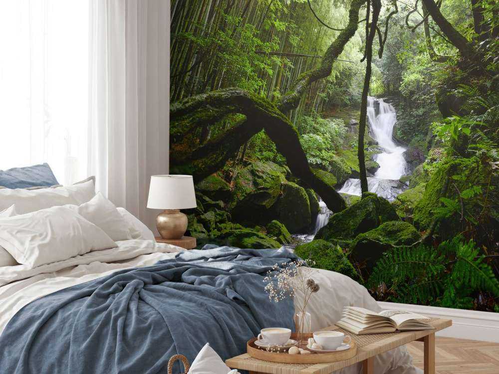 Chute d'eau entourée d'arbres