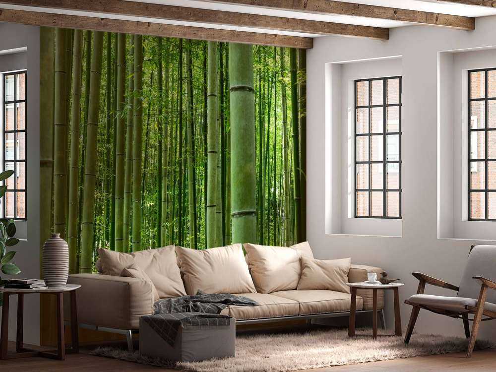 Au milieu de la forêt de bambous