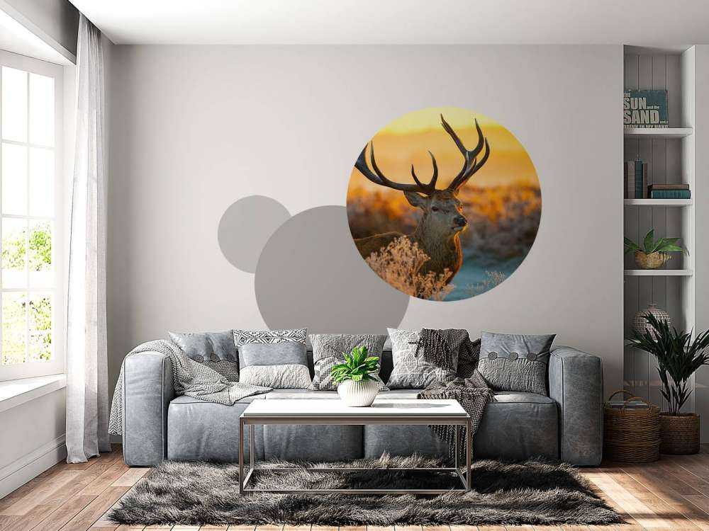 Cerf dans une réserve naturelle