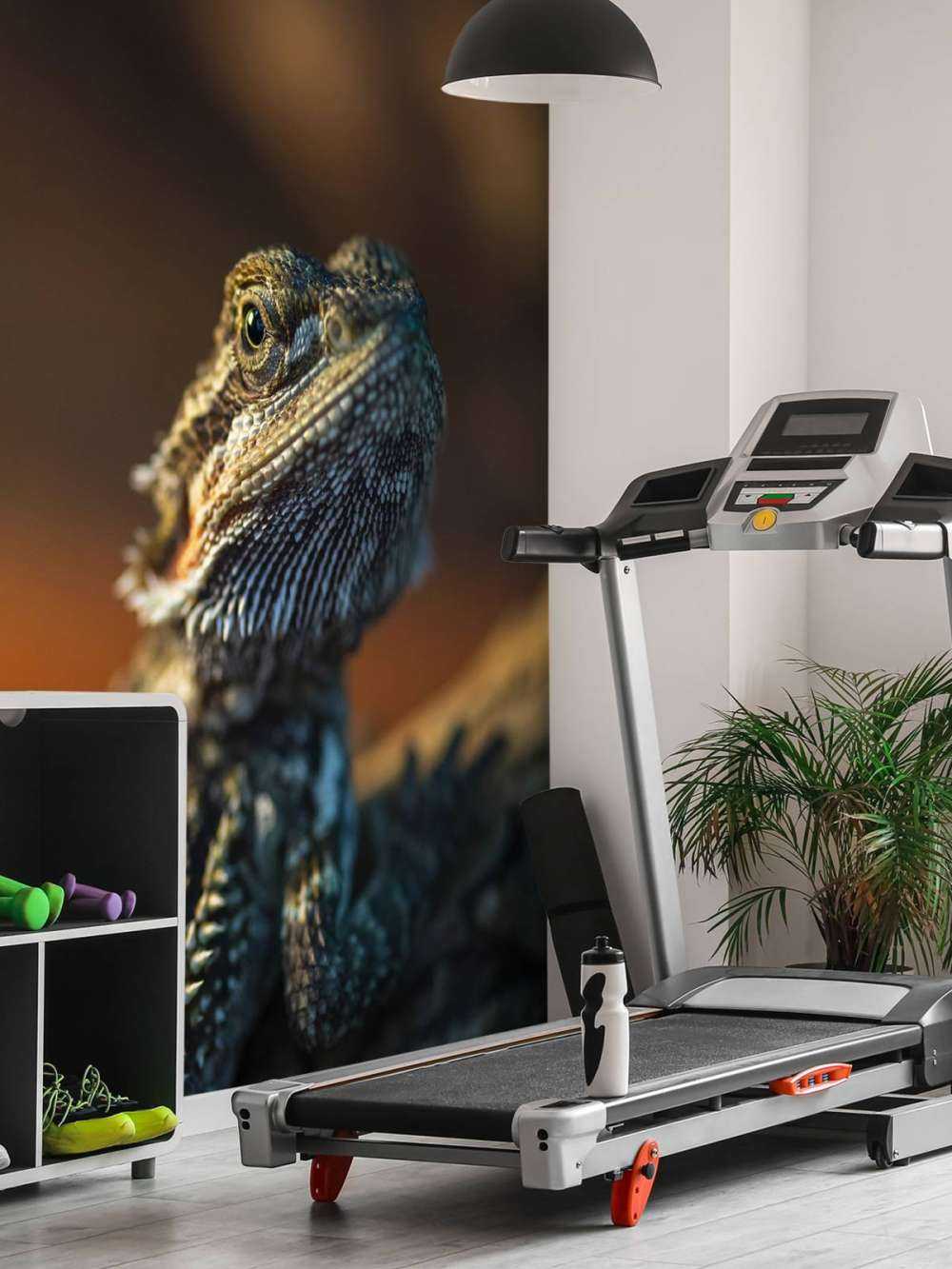 Gros plan d'un caméléon