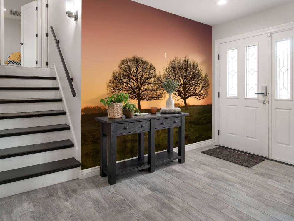 La lune entre les arbres