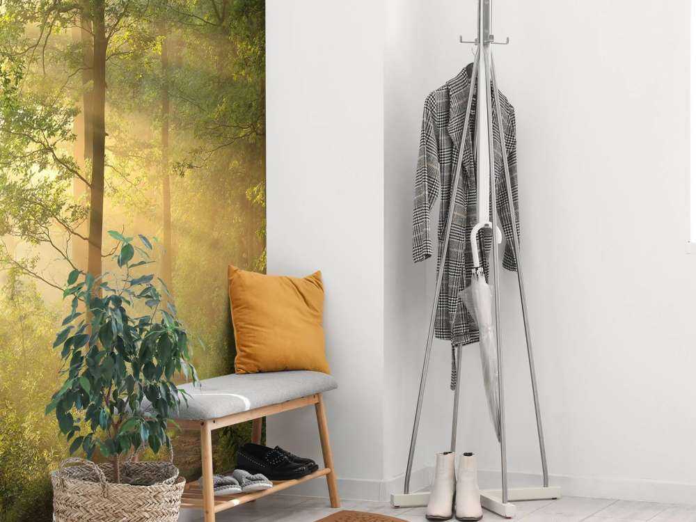 Matin brumeux de printemps