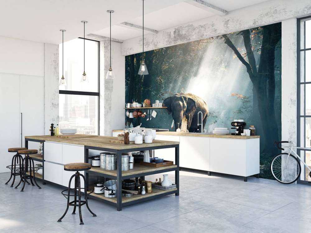 Éléphant dans une jungle