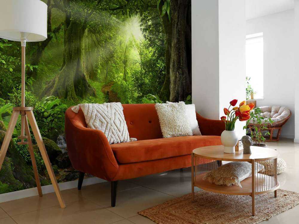 Jungle tropicale avec lumière du soleil