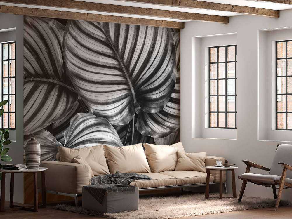 Plante à feuilles rayées