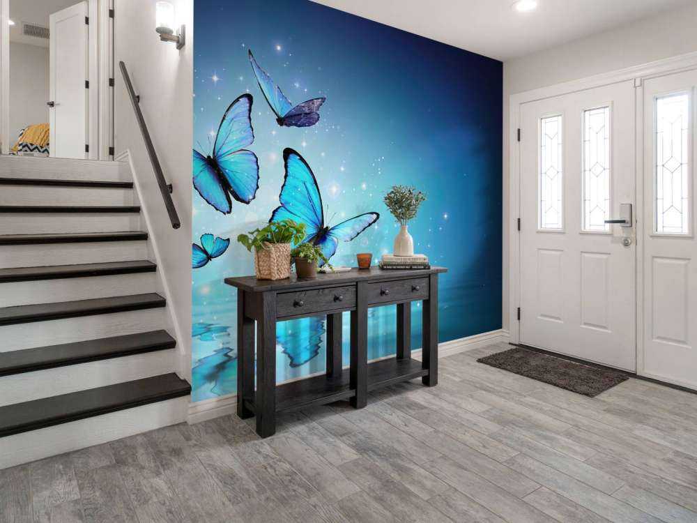 Papillons de fée sur l'eau