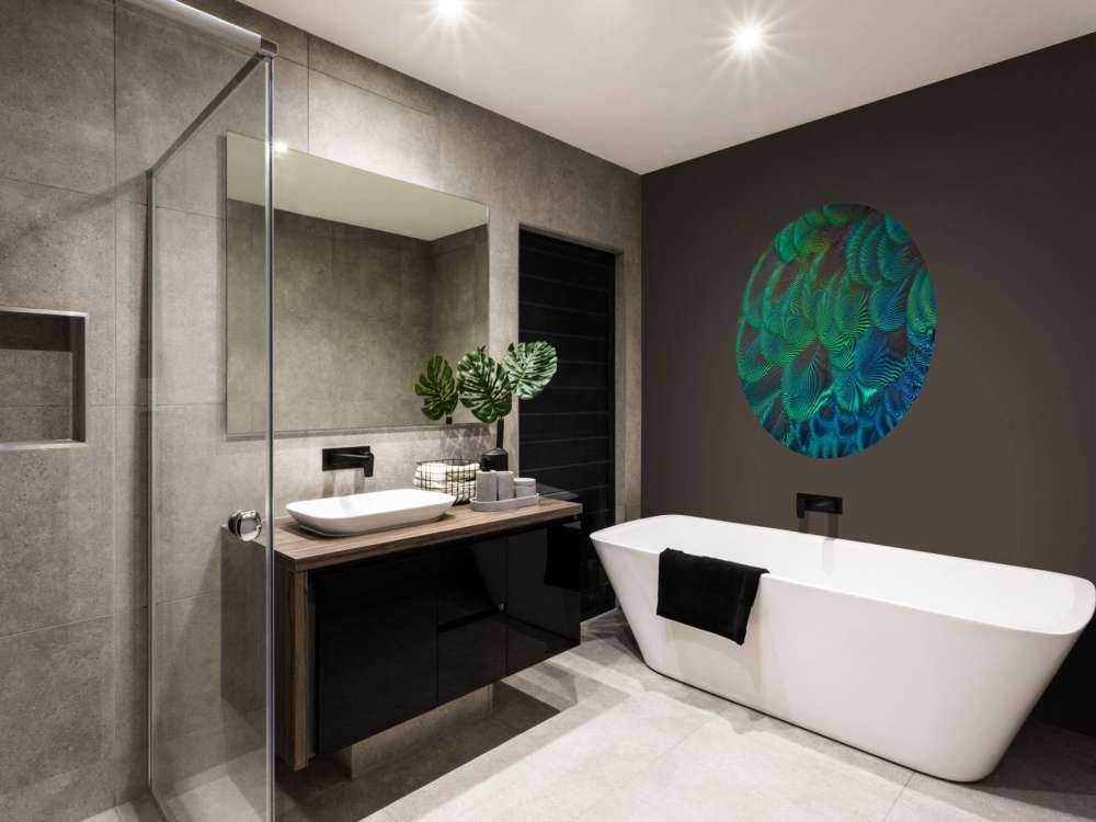 Gros plan sur des plumes de paon