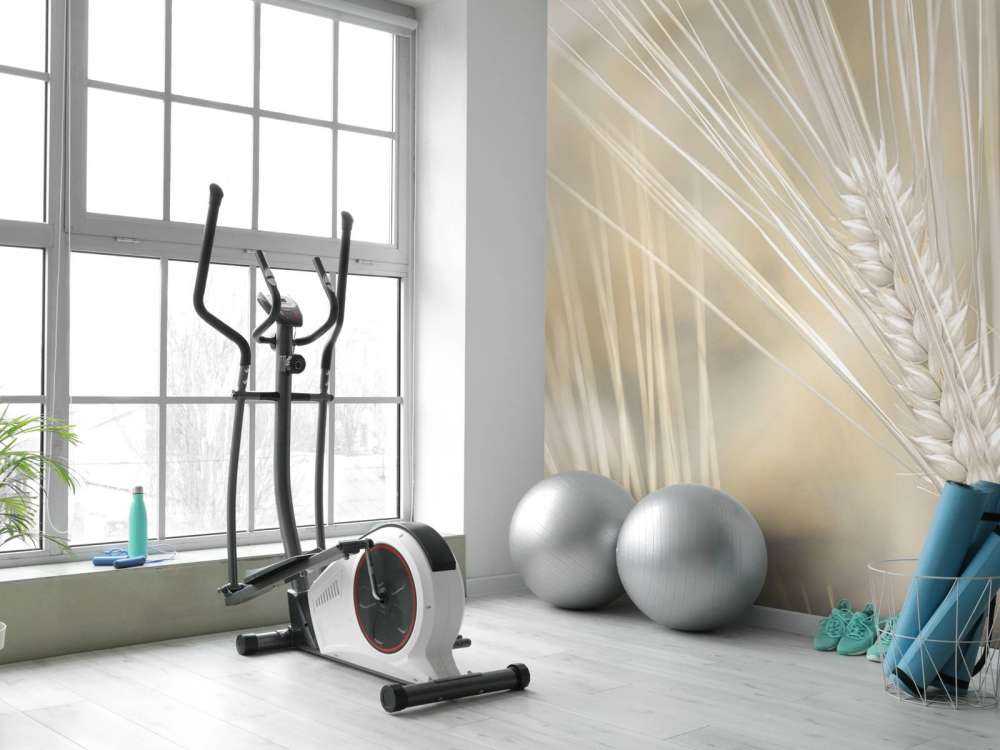 Gros plan sur le blé