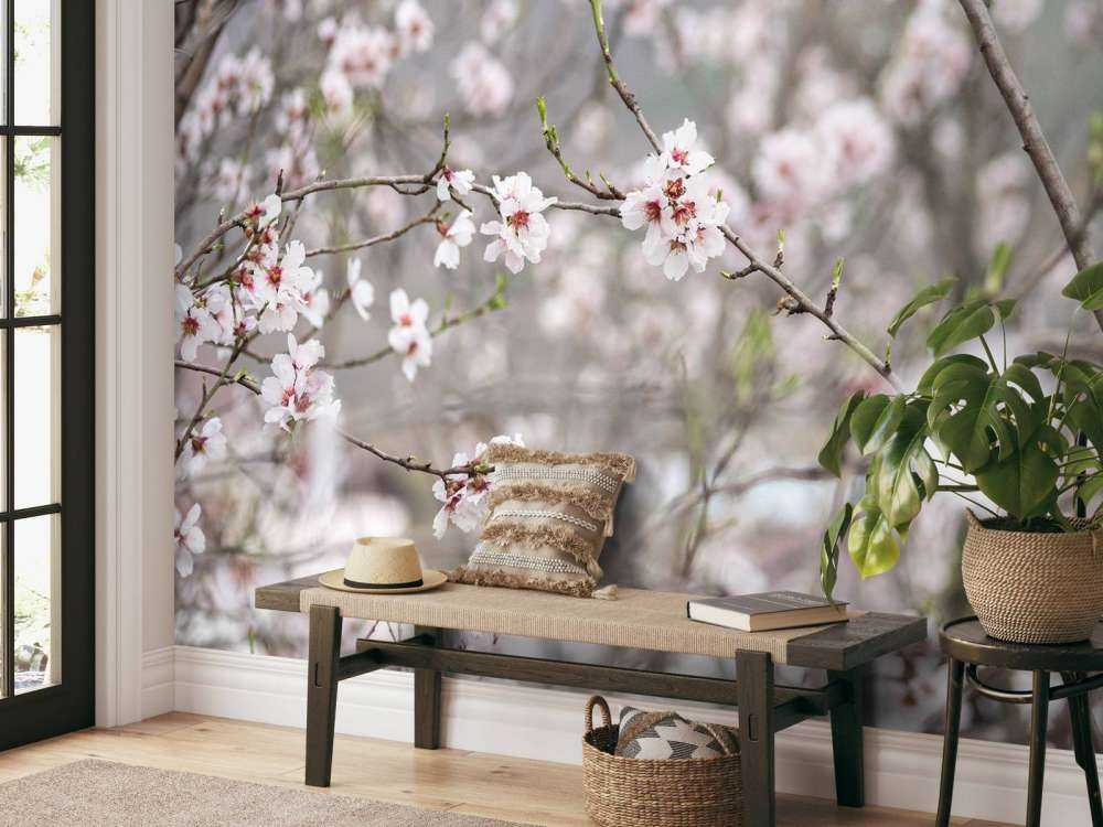 Fleurs roses et blanches