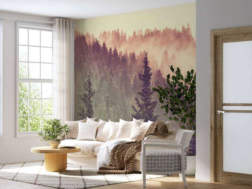 Brouillard dans la forêt