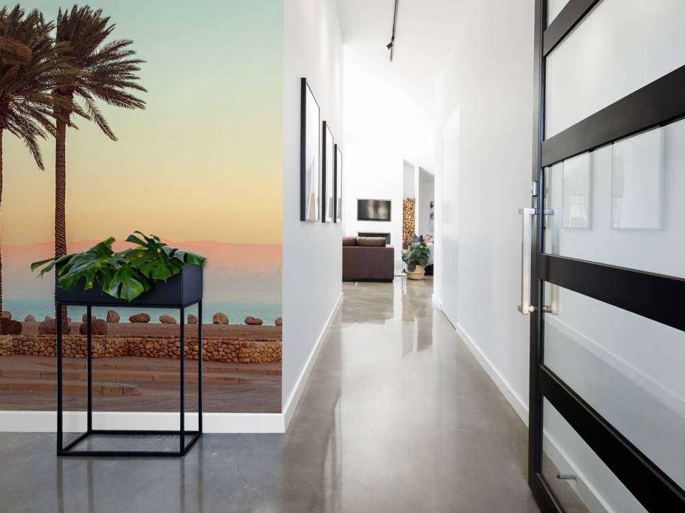 Palmiers au coucher du soleil