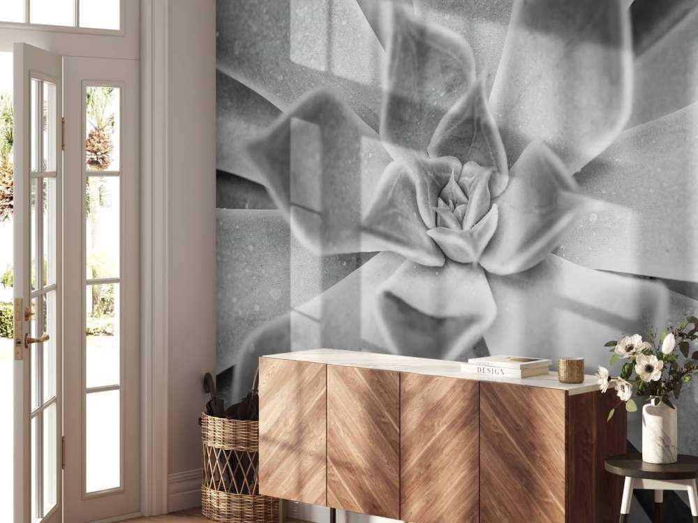 Succulent en noir et blanc