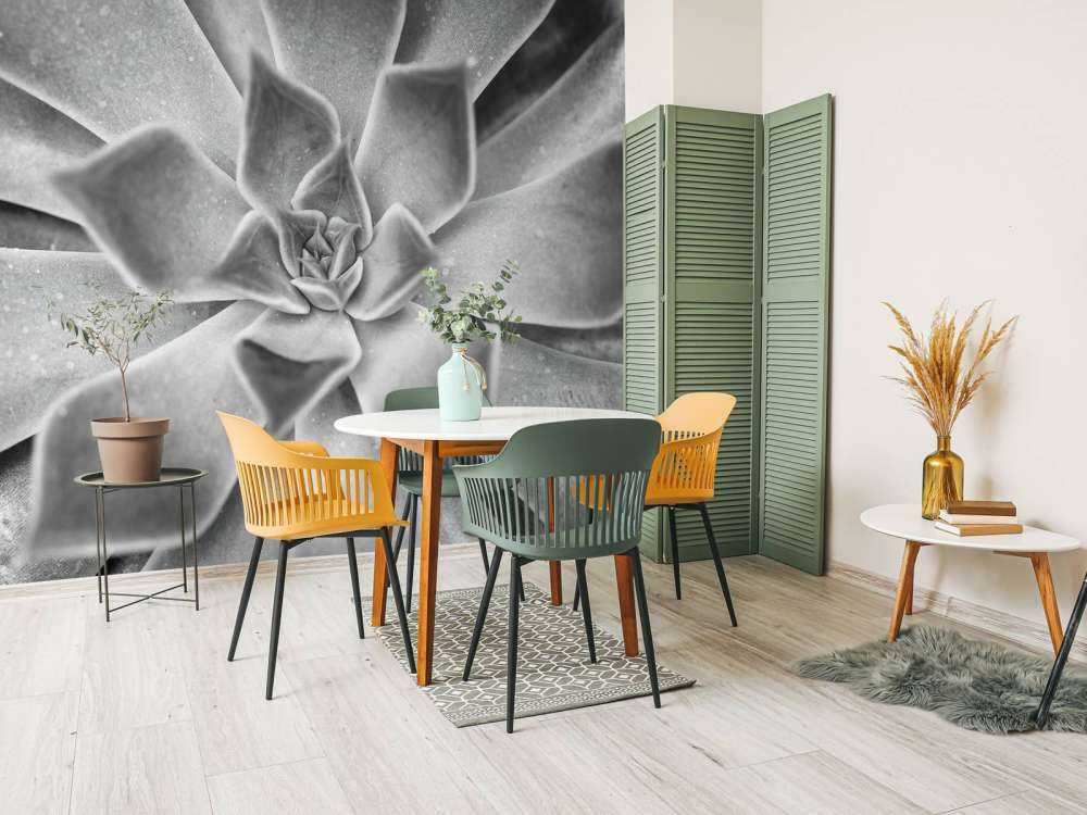 Succulent en noir et blanc