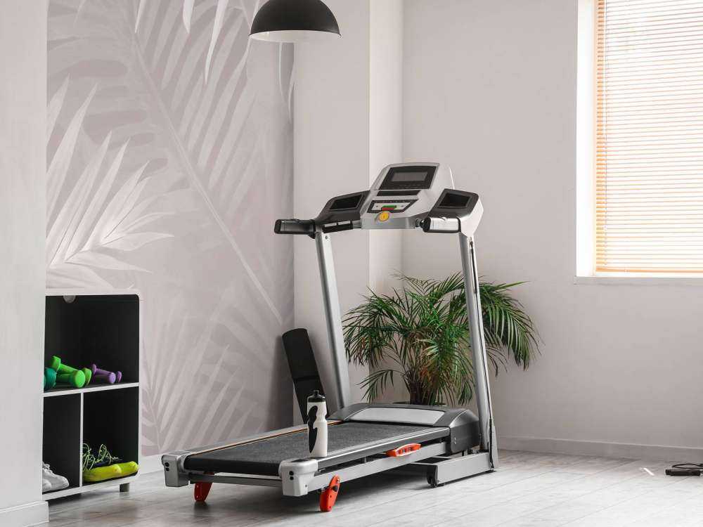 Feuilles de palmier brumeuses - rose