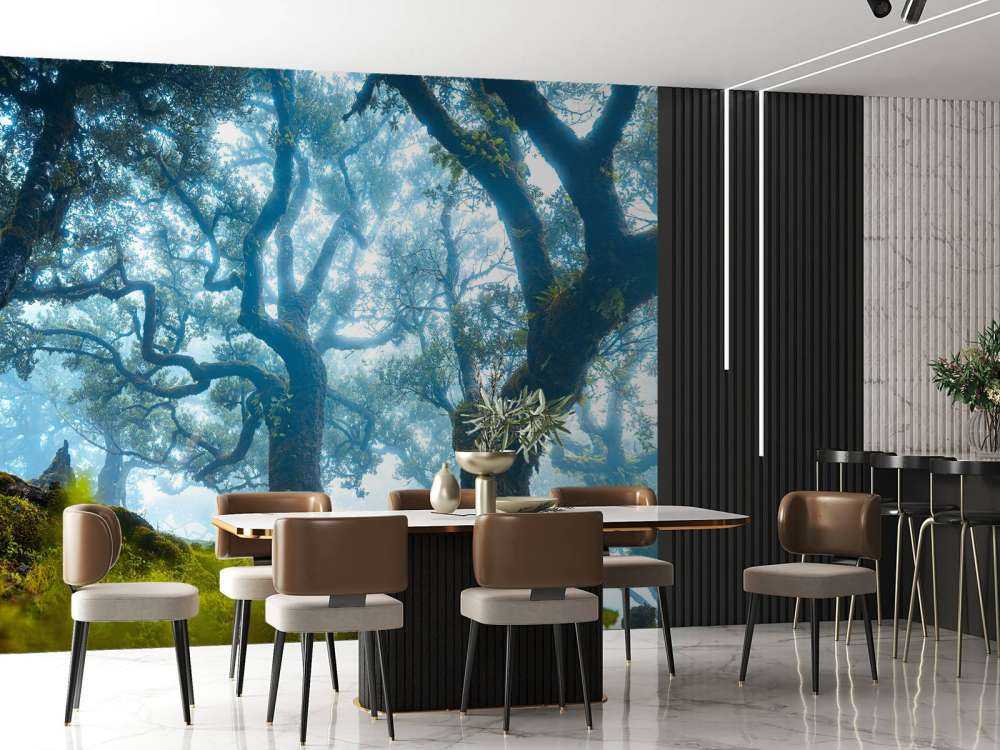 Forêt enchantée dans la brume du matin.