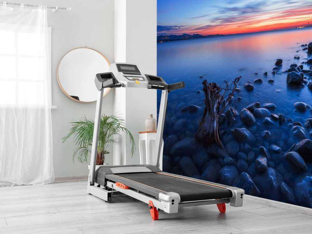 Rive boueuse à la lumière du soir.