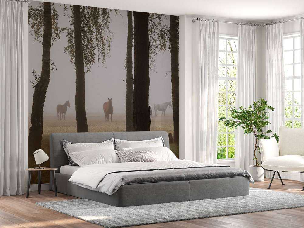 Chevaux dans la brume du matin