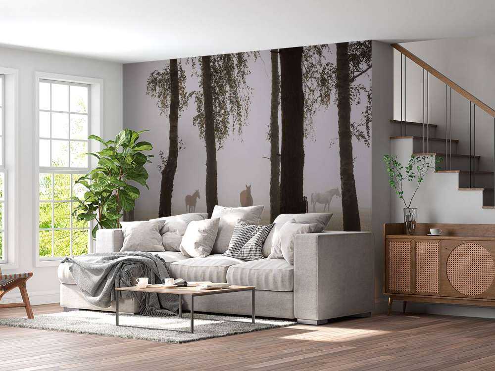 Chevaux dans la brume du matin