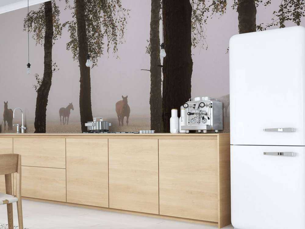 Chevaux dans la brume du matin