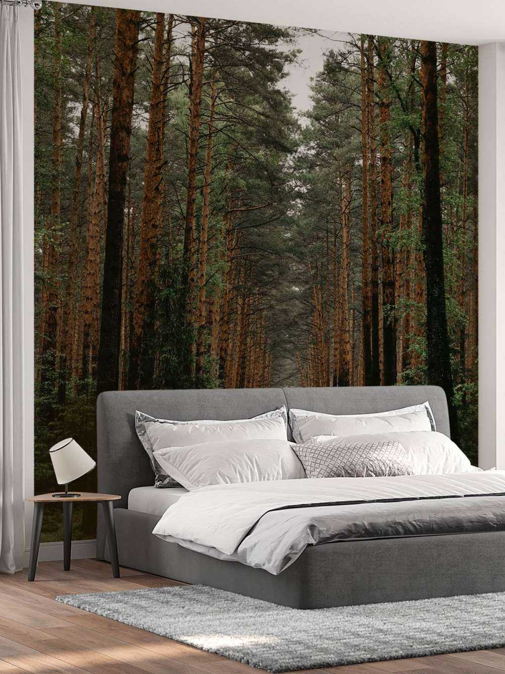 Symétrie de la Forêt