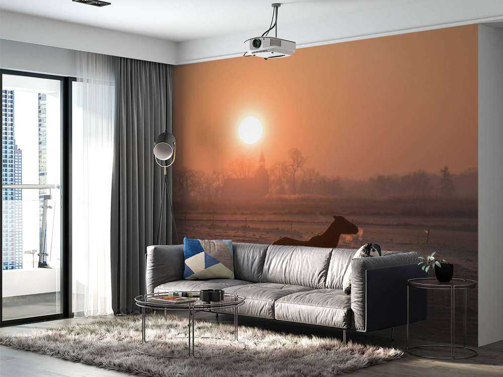 Cheval dans la lueur du matin