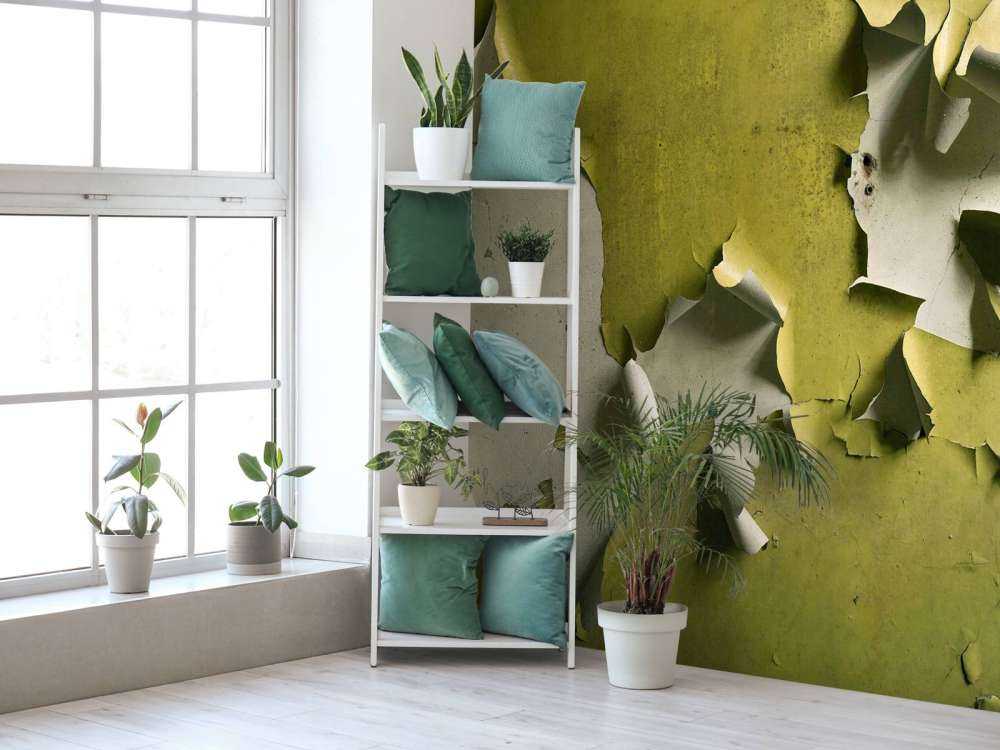 Peinture dégradante sur mur vert