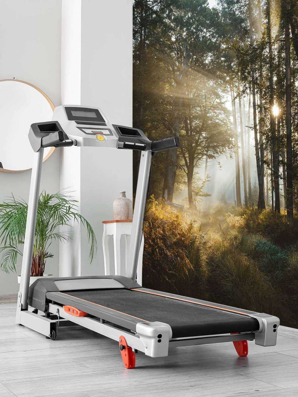 Lumière du matin éclatante à travers la forêt