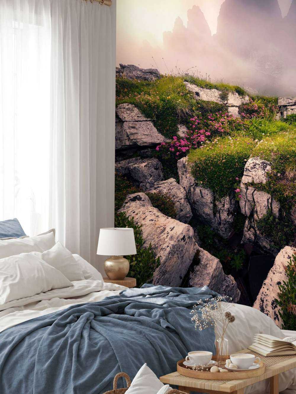 Nevelige Bergtoppen et Fleurs des Alpes