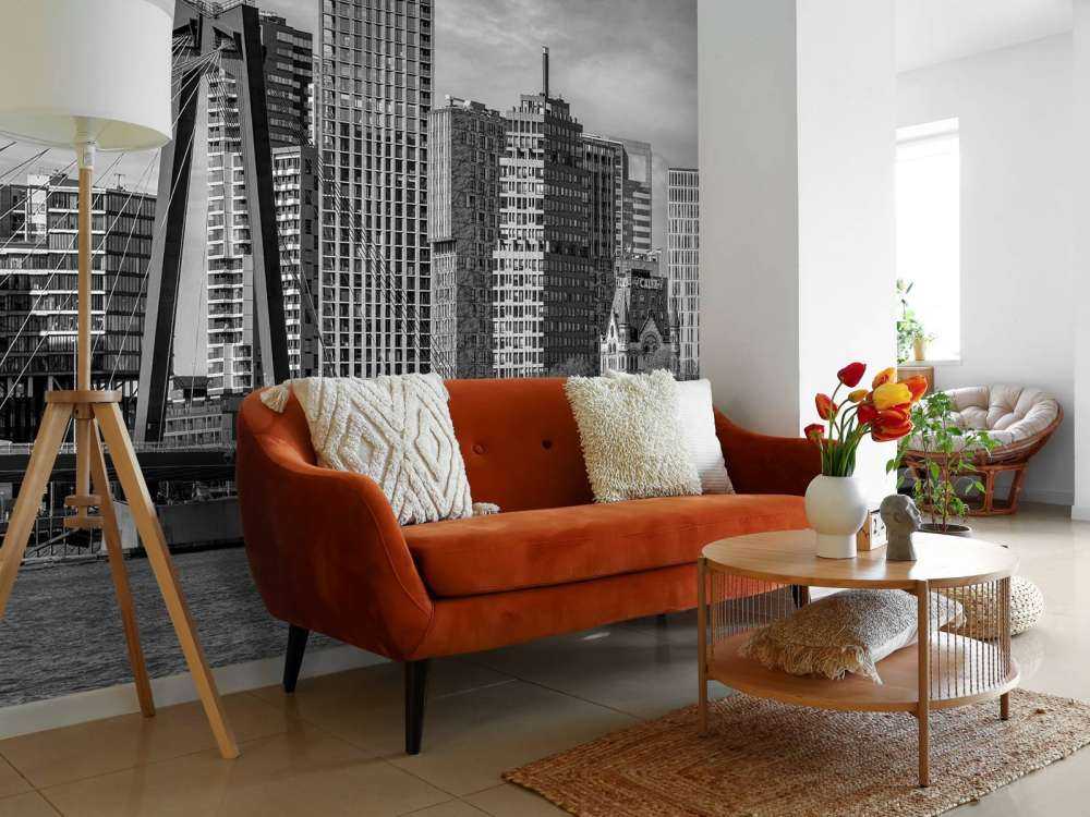 Skyline Noir-Blanc avec Willemsbrug