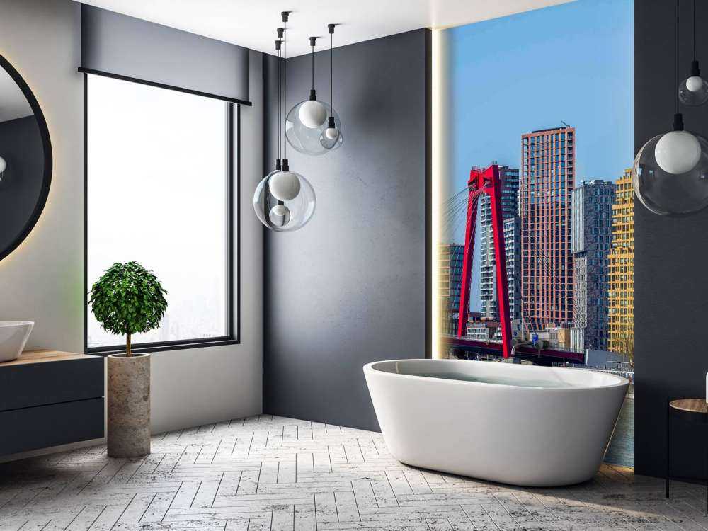 Willemsbrug et la skyline de Rotterdam