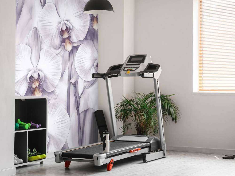 Paradis des orchidées violet