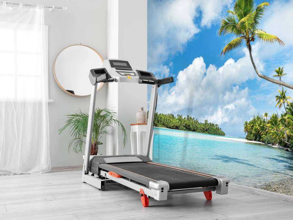 Palmiers au lagon turquoise