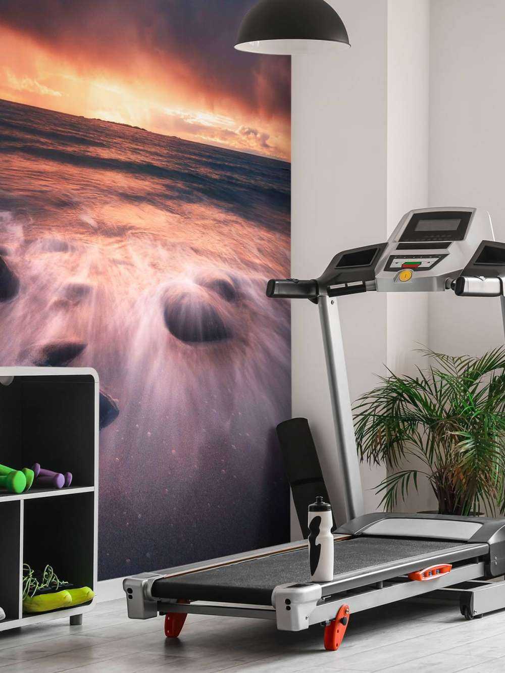 Lueur du soir sur la côte rocheuse