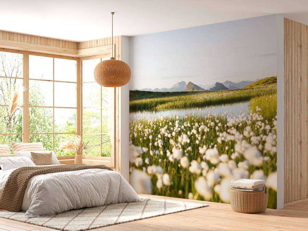 Lumière estivale sur un paysage tourbeux fleuri