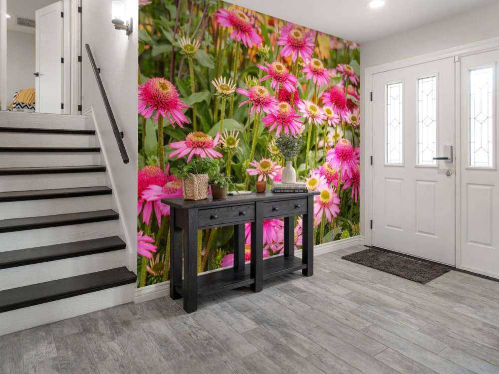 Les échinacées dans le jardin