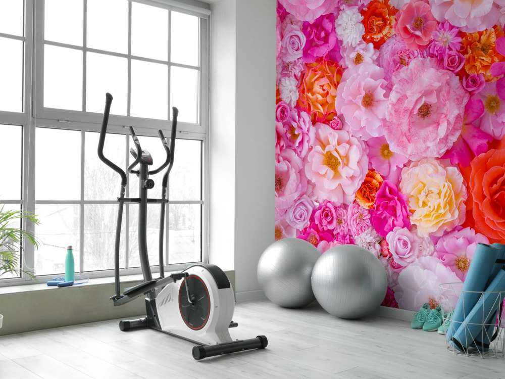 Plein cadre de variété de roses de jardin, fond de fleurs