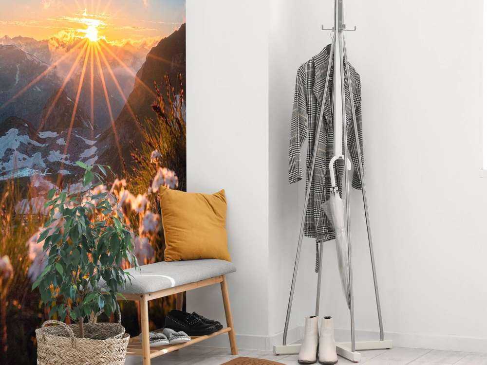 Lumière du soleil sur alpage alpin