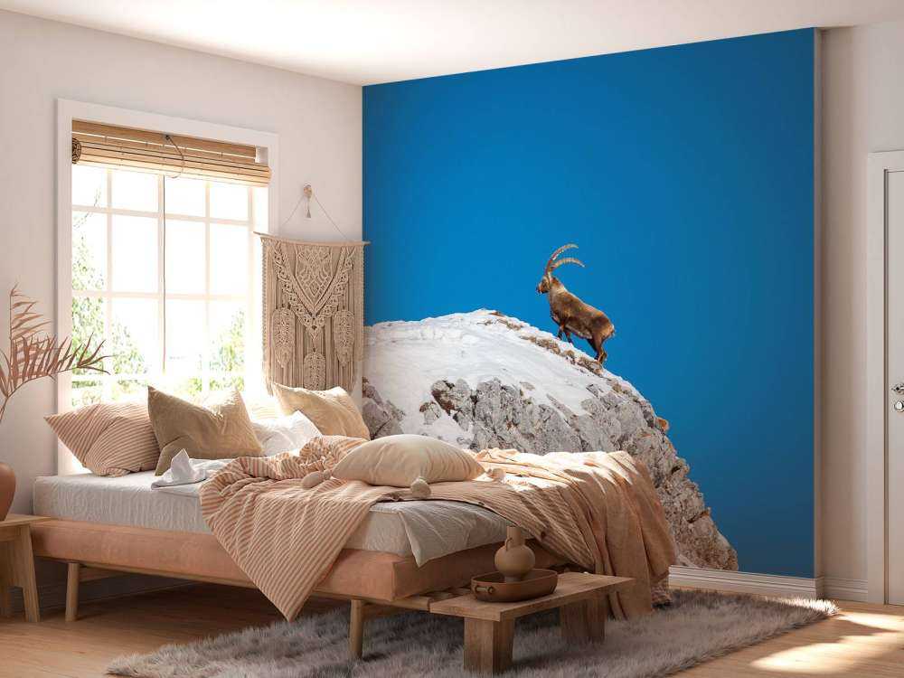 Steenbok sur un pic rocheux enneigé