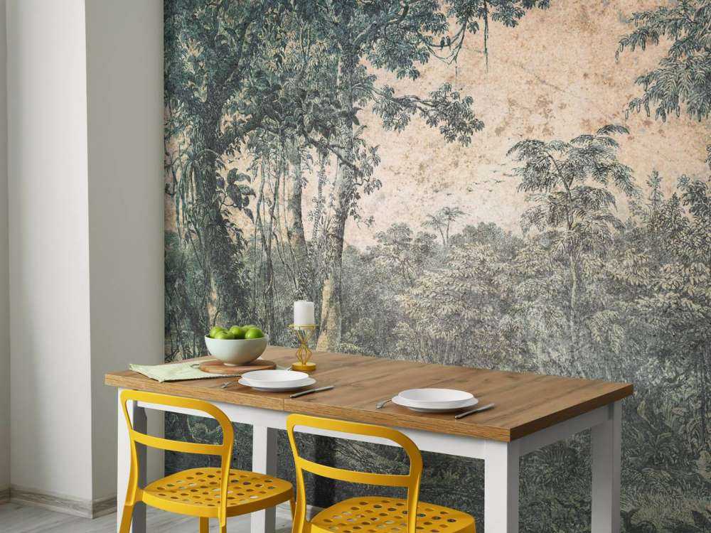 Panorama de forêt tropicale altérée