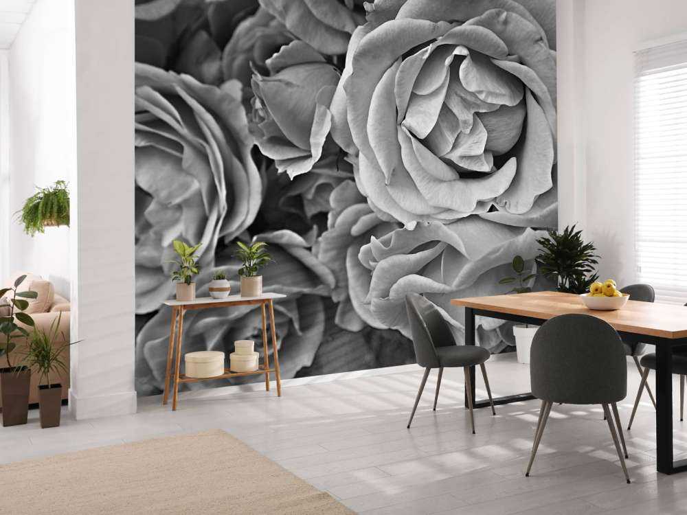 Les roses en noir et blanc